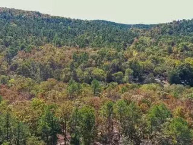 House for rent in Ark