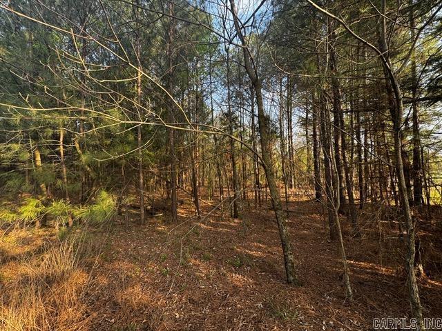 Land for sale in Ark