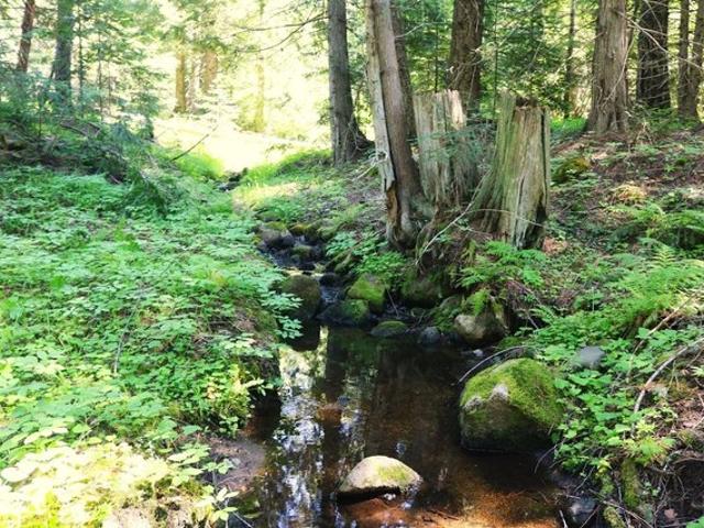 Land for sale in Sandpoint, Idaho