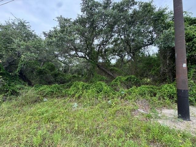 Land for sale in San Patricio, Texas