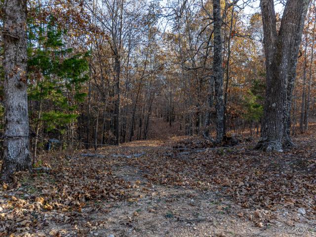 Land for sale in Thayer, Missouri