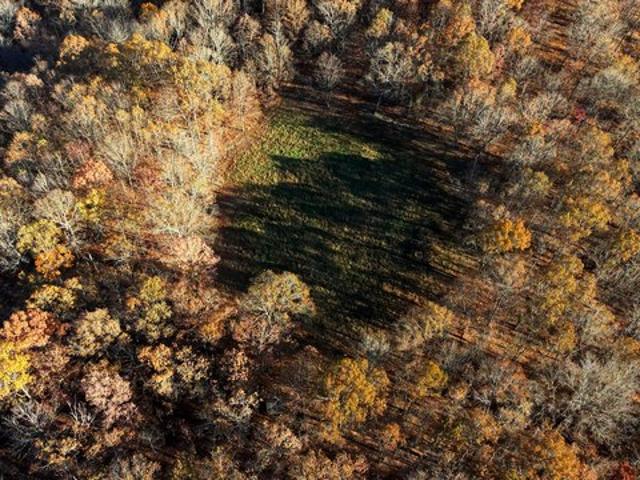 Land for sale in Thayer, Oregon County