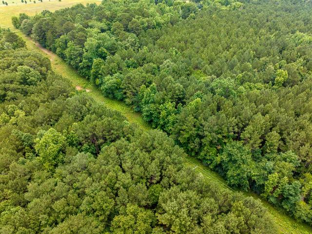 Land for sale in Smith, Texas