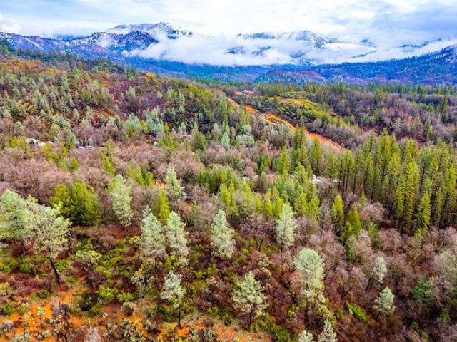 Land for sale in Shasta, California