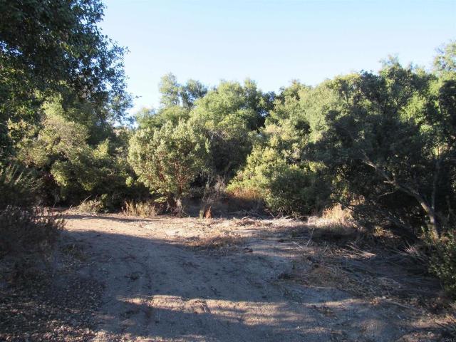 Land for sale in Campo, California