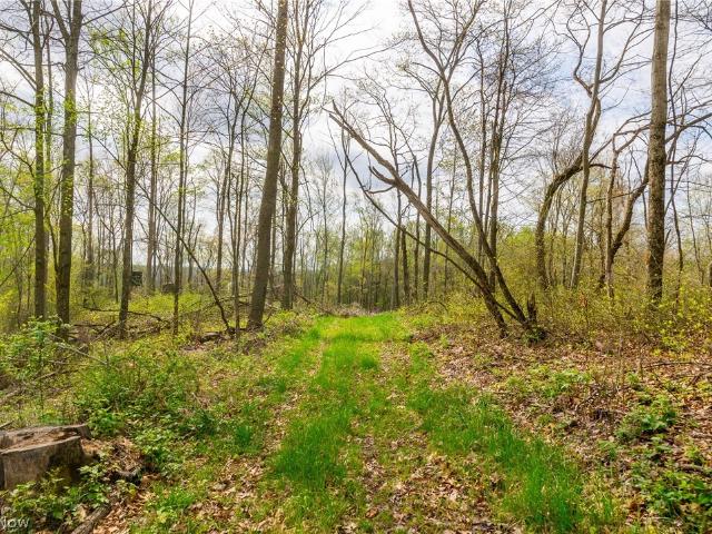 Land for sale in Whipple, Ohio