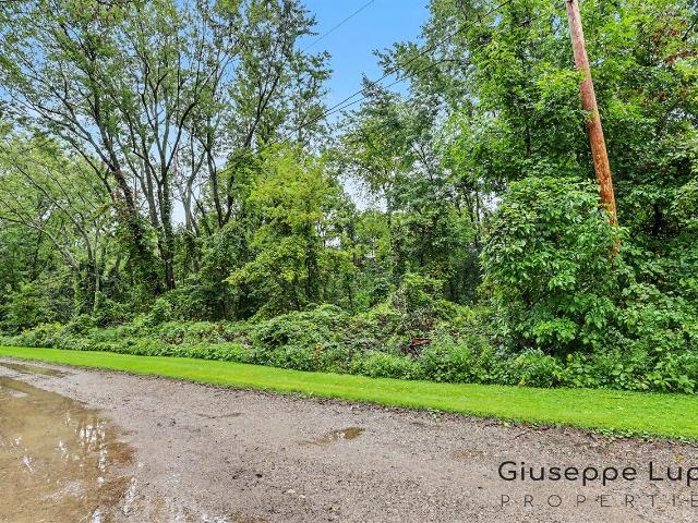 Land for sale in Plainfield Charter Township, Belmont