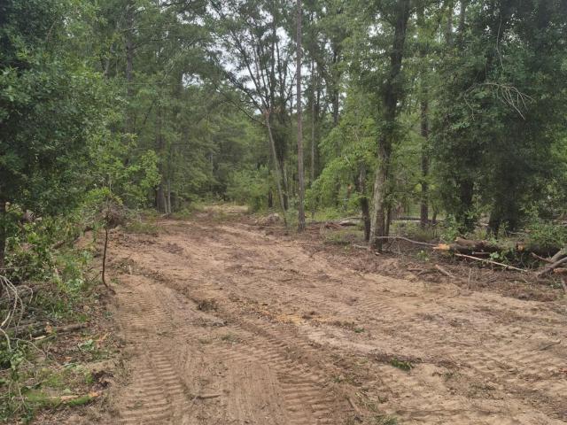 Land for sale in Harlem, Georgia