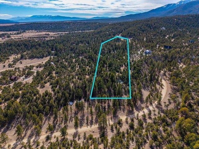 Land for sale in Nathrop, Chaffee County