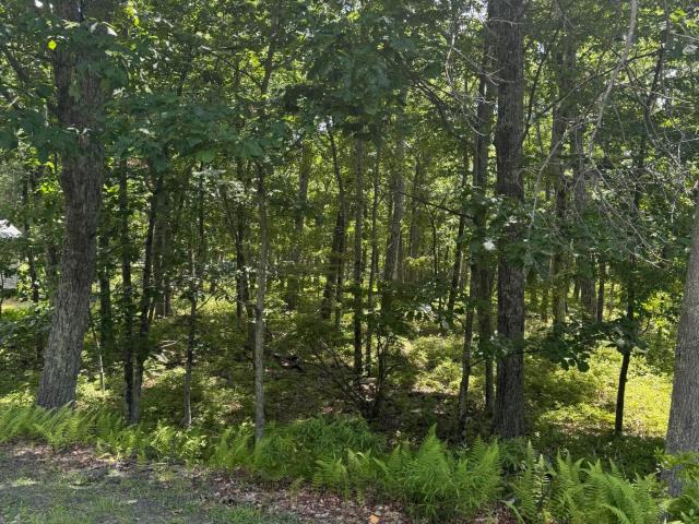 Land for sale in Dingmans Ferry, Pennsylvania