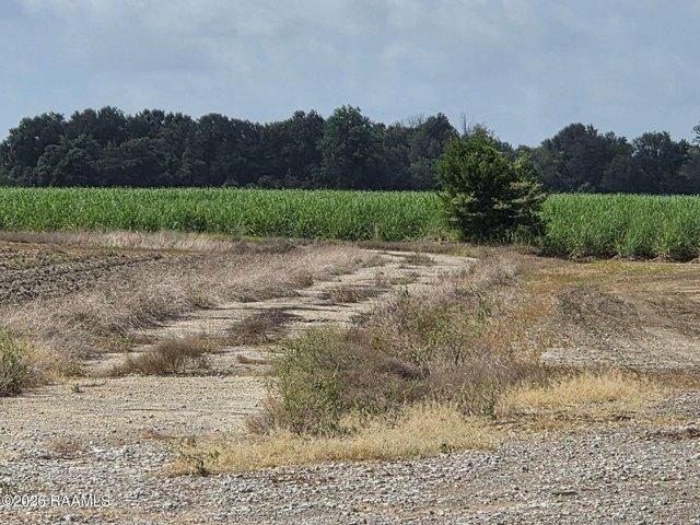 Land for sale in Youngsville, Louisiana