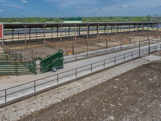 Farm for sale in Fordland, Missouri