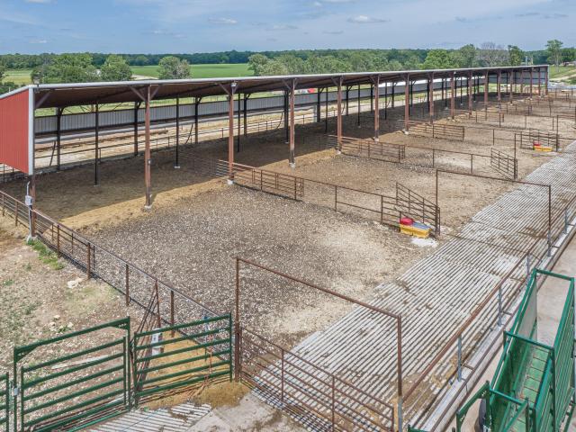 Farm for sale in Fordland, Missouri