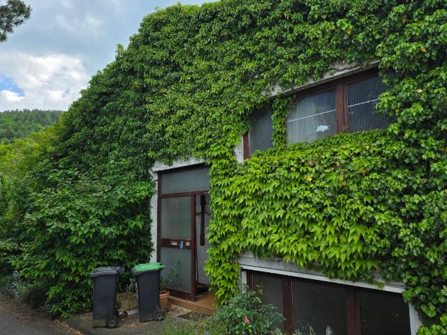 Haus kaufen in St. Ingbert, St. Ingbert-Mitte