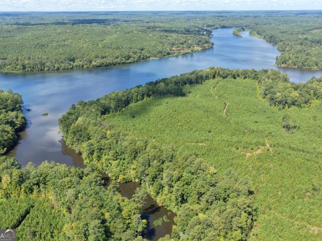 Land for sale in Hamilton, Georgia