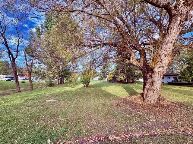 Land for sale in Baudette, Minnesota