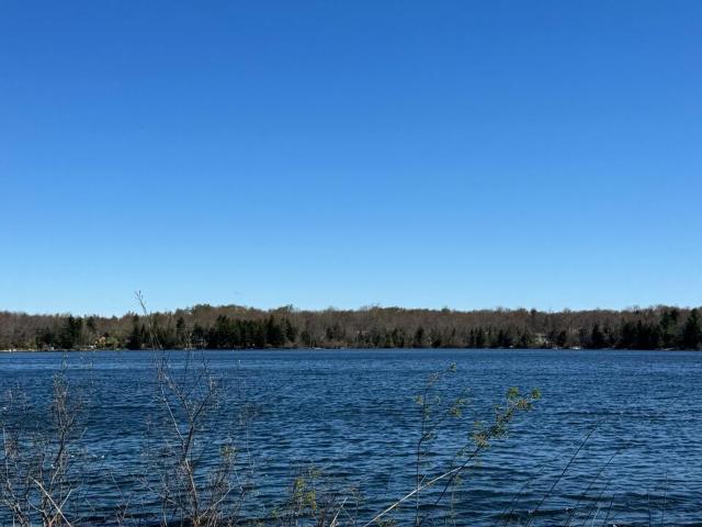 Land for sale in Pocono Summit Land for sale in Pocono Summit