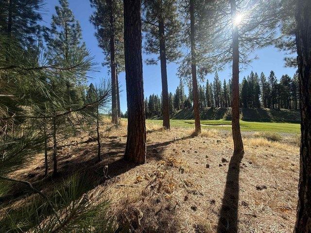 Land for sale in Portola, California