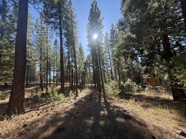 Land for sale in Portola, California