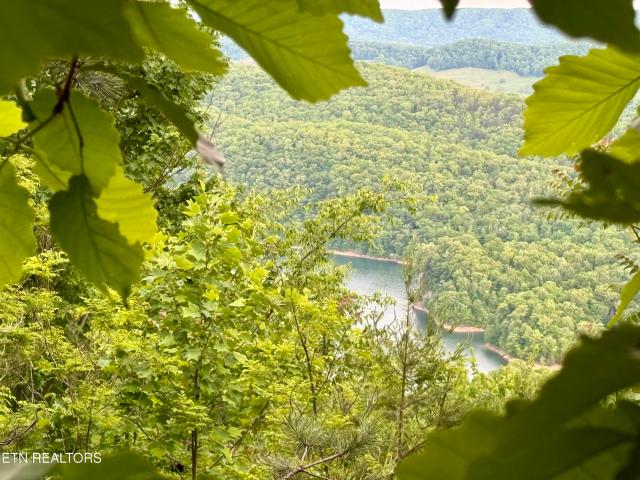 Land for sale in Tennessee