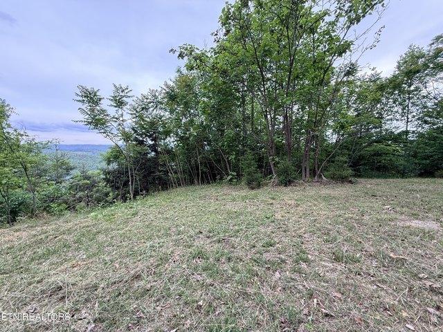 Land for sale in Tennessee