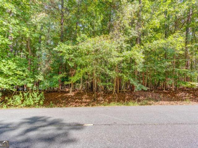 Land for sale in Hoschton, Georgia