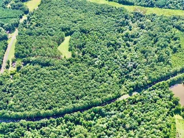 Land for sale in Clio, Alabama