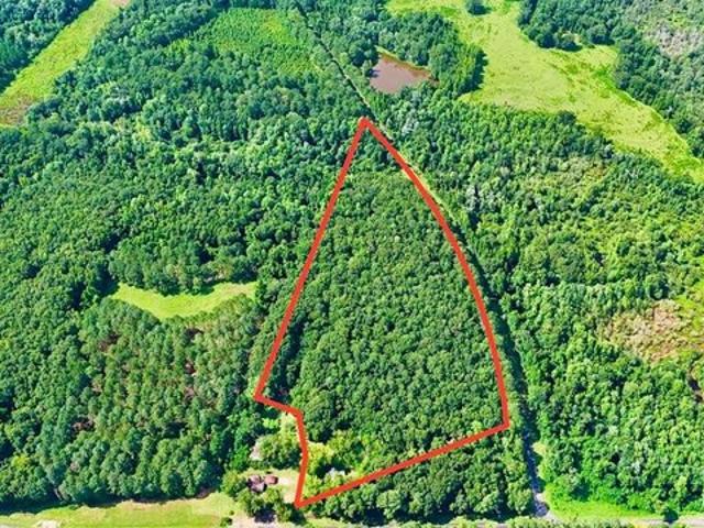 Land for sale in Clio, Alabama