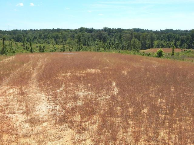 Land for sale in Grenada, Mississippi