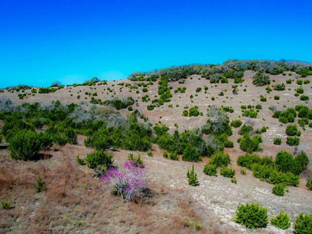Land for sale in Blanco, Blanco County