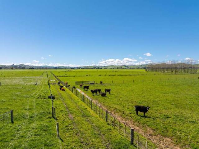 Property for sale in Castlepoint, Masterton District