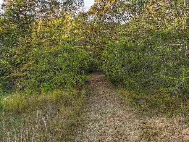 House for rent in Ark