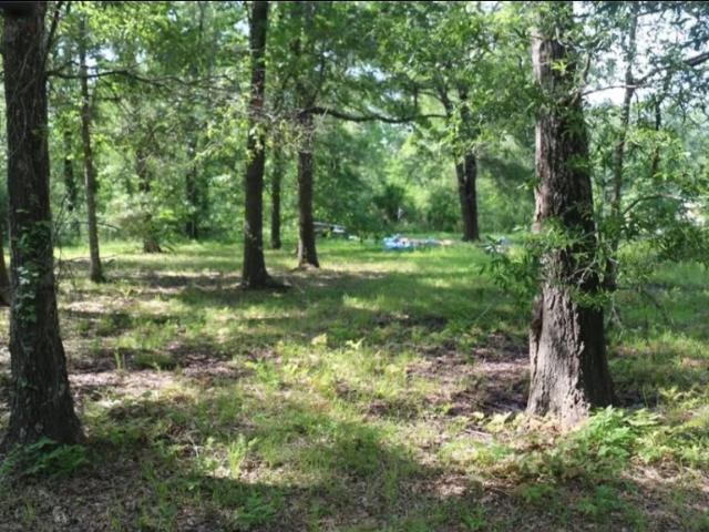 Land for sale in Polk, Texas