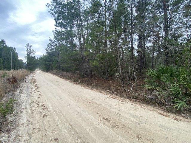 Land for sale in Florahome, Florida