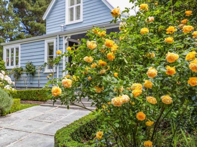 House for sale in Cust, Canterbury