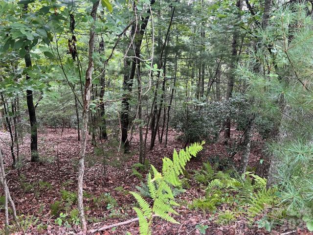 Land for sale in Hendersonville, North Carolina