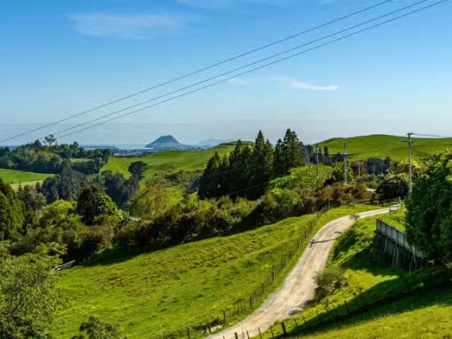 House for sale in Omokoroa, Bay Of Plenty