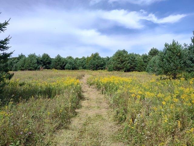 Land for sale in Centuria, Wisconsin