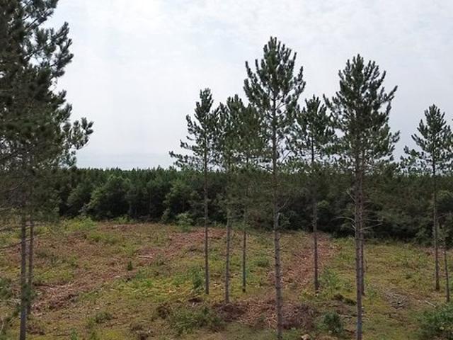 Land for sale in Wisconsin