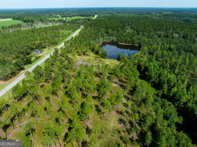 Land for sale in Metter, Candler County