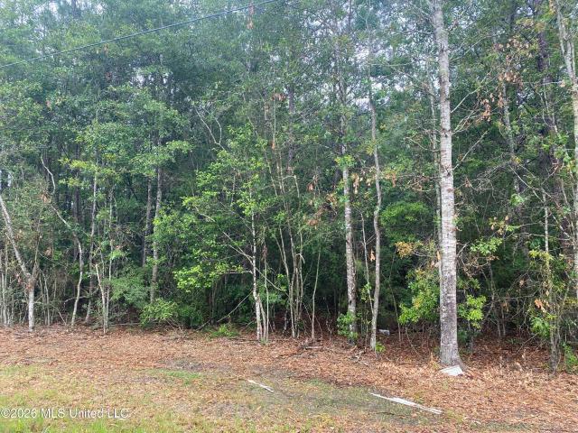 Land for sale in Mississippi
