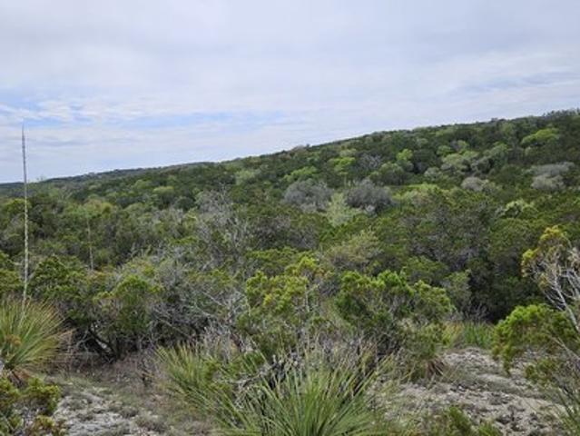 Land for sale in Bexar, Texas