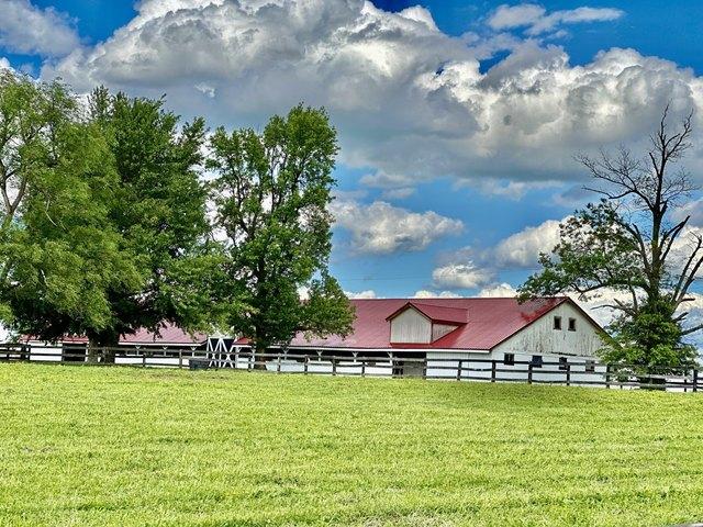 Farm for sale in Georgetown, Scott County