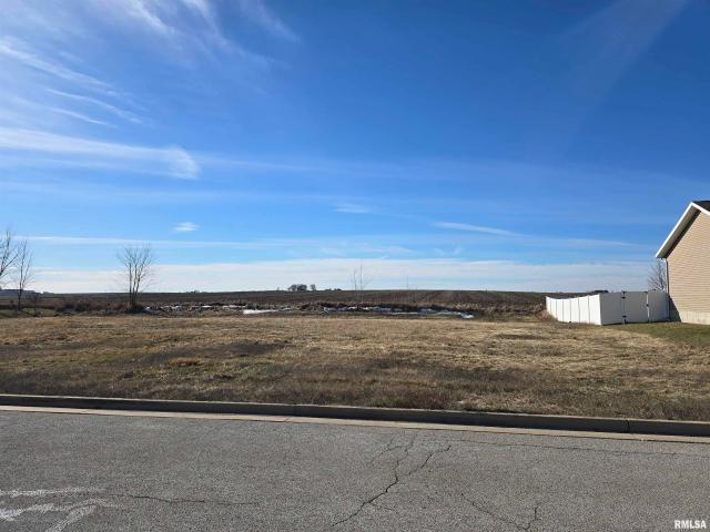 Land for sale in Woodford, Illinois