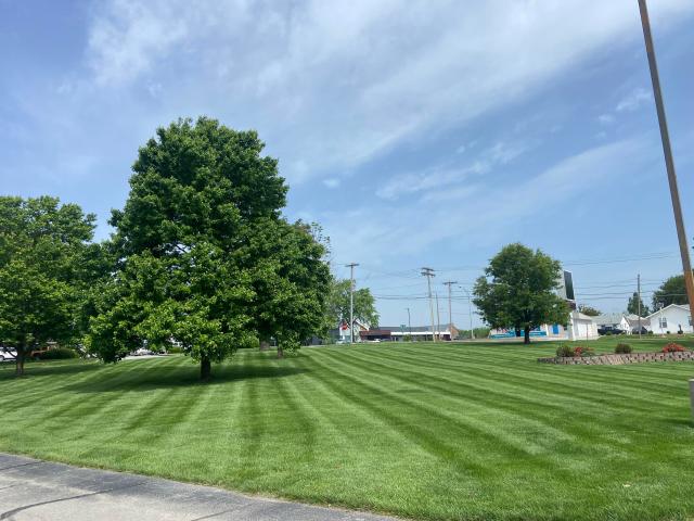 Commercial for sale in Springfield