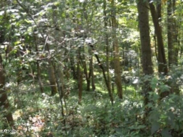 Land for sale in Whitleyville, Middle Tennessee
