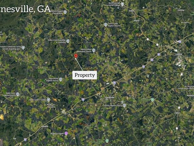 Land for sale in Carnesville, Franklin County