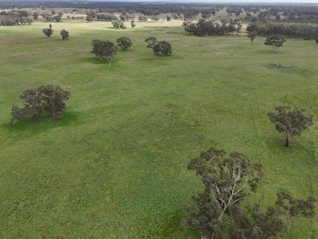 Acreage for sale in Wolseley, South Australia