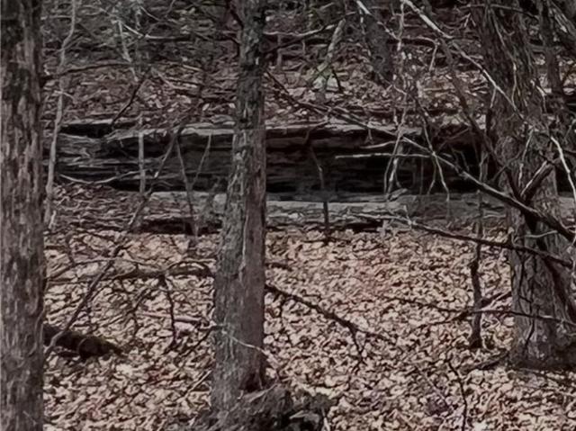 Land for sale in Lost Bridge Village, Garfield