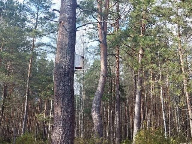 Grunt na sprzedaż w Milejczyce, Podlaskie